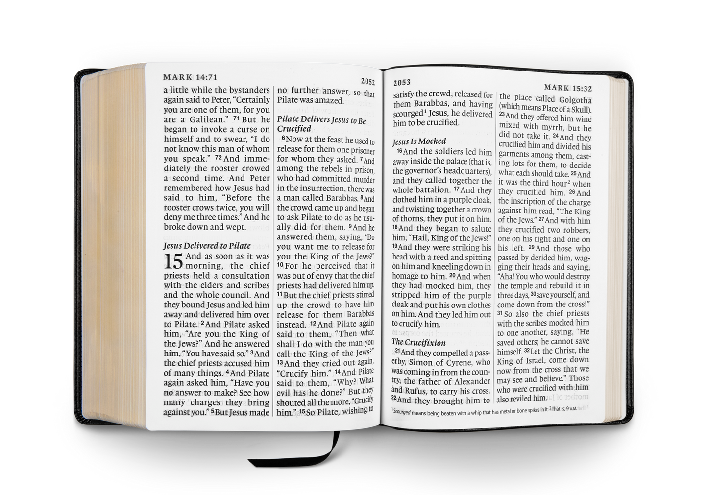 Crossway ESV Super Giant Print Bible - TruTone®
