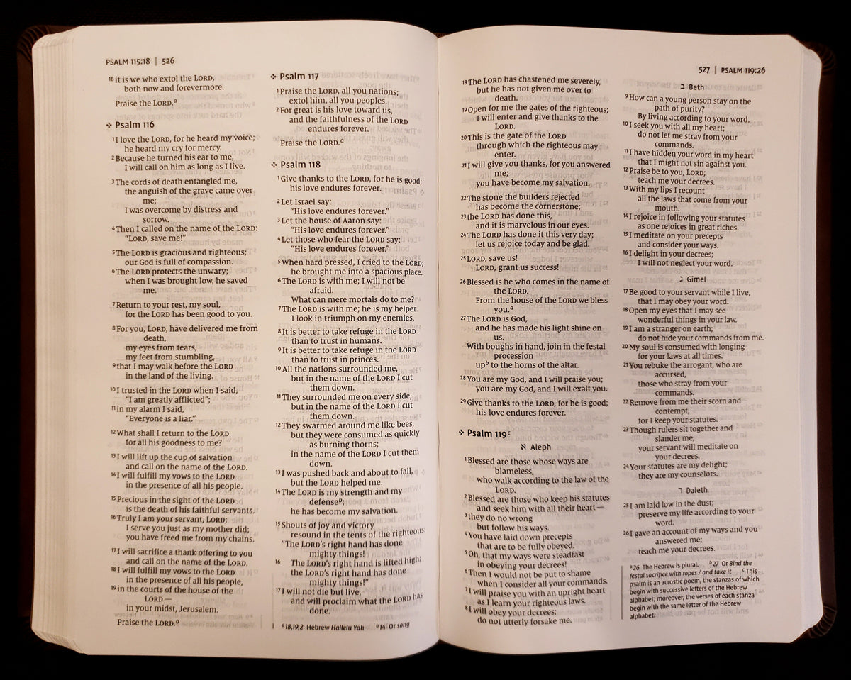 Zondervan NIV® Value Thinline Bible - Leathersoft™