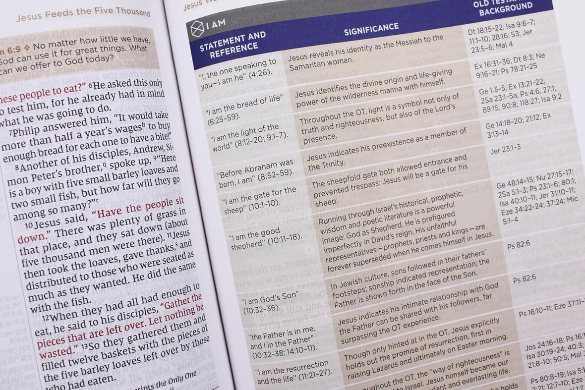 Zondervan NIV Application Bible: Bringing the Ancient Message of the Bible into Your World