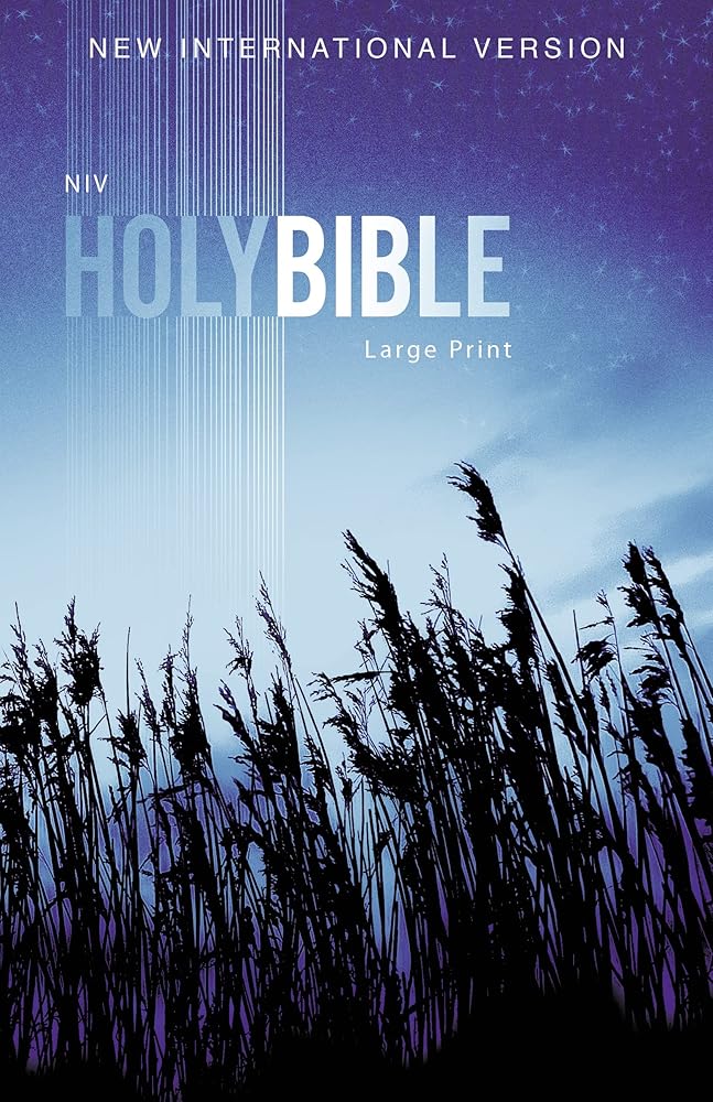 NIV, Outreach Bible, Large Print, Paperback cover image