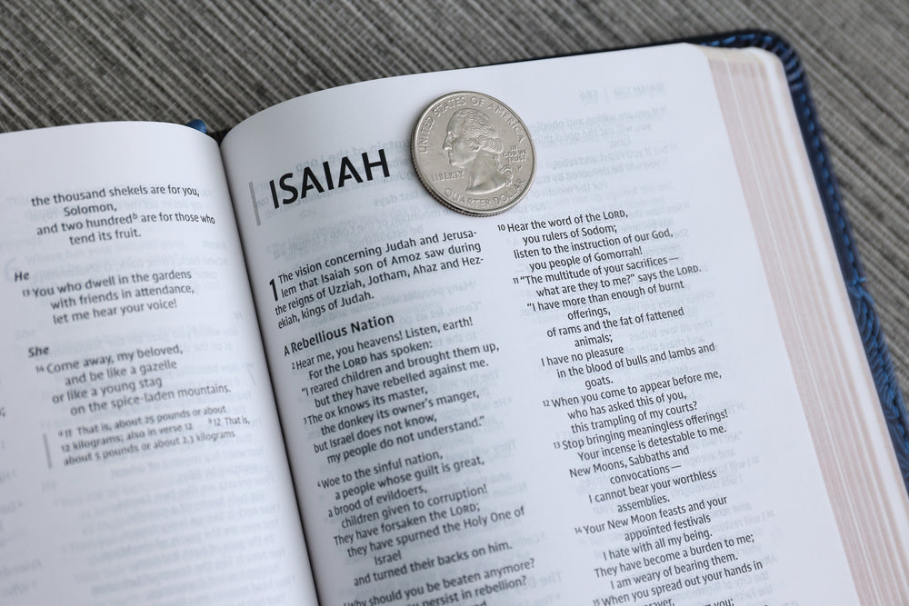 Zondervan NIV Thinline Bible, Compact, Leathersoft, Blue Floral