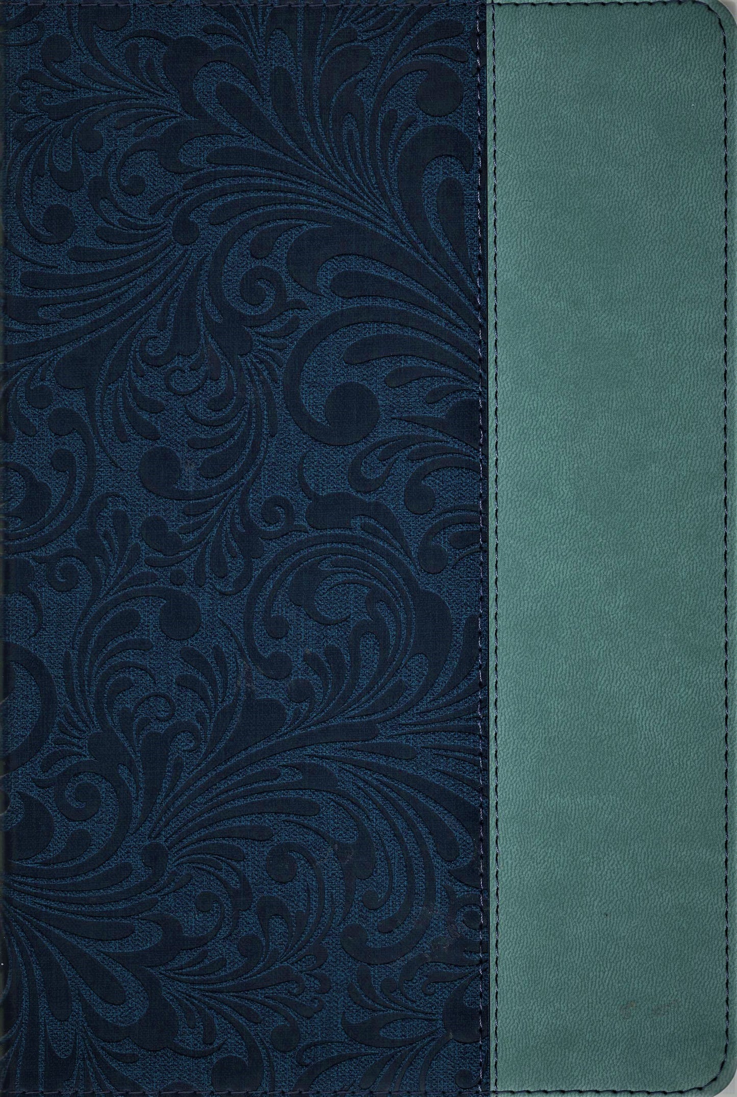 Holman CSB® The Disciple's Study Bible - LeatherTouch® (Navy/Mist)
