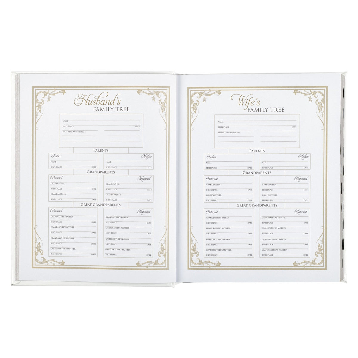 Christian Art Publishers NLT Family Heritage Bible, Large Print, White Faux Leather Hardcover