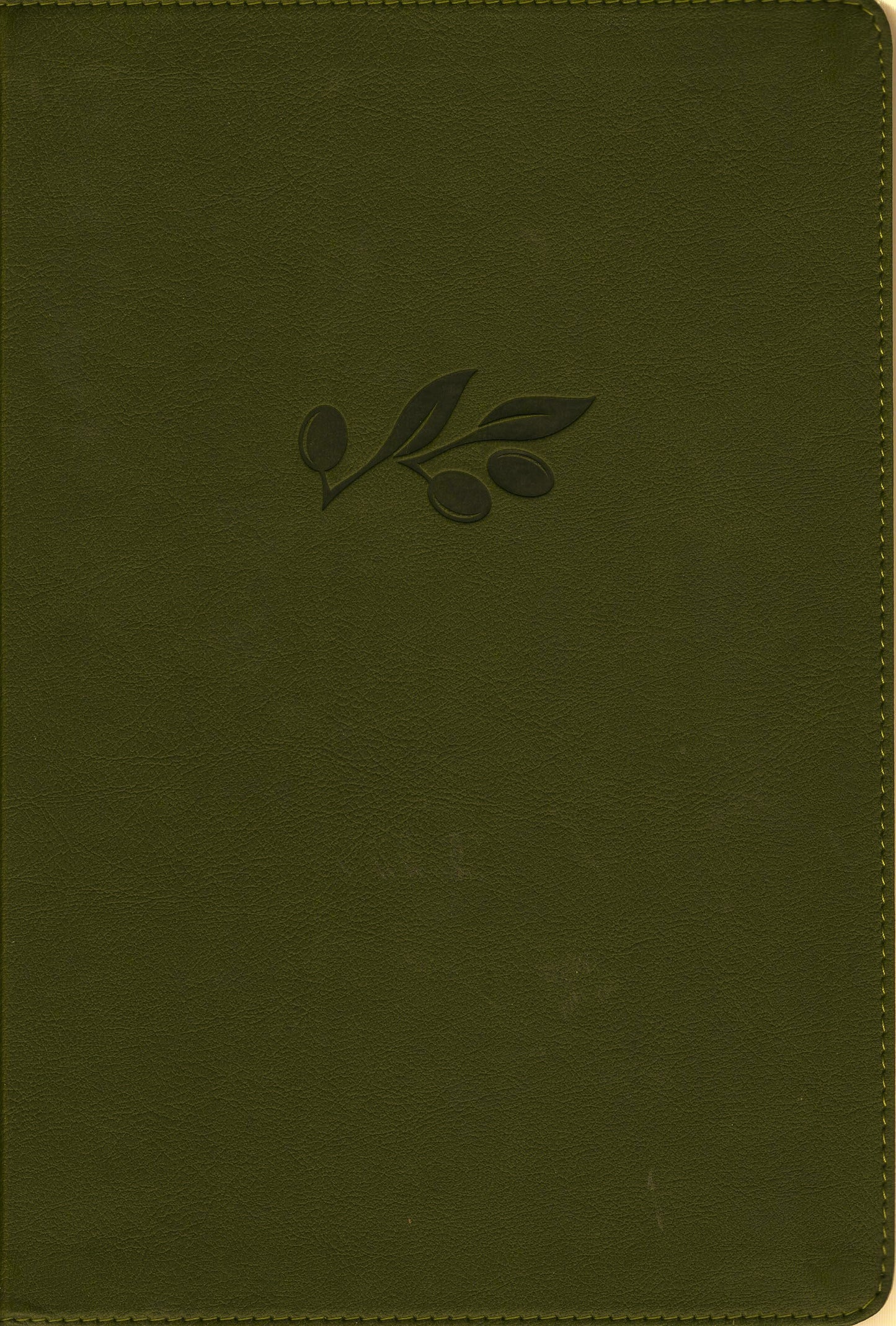 Holman Bible Publishers NASB - Large Print Thinline, 2020 Edition Bible - Leathertouch®