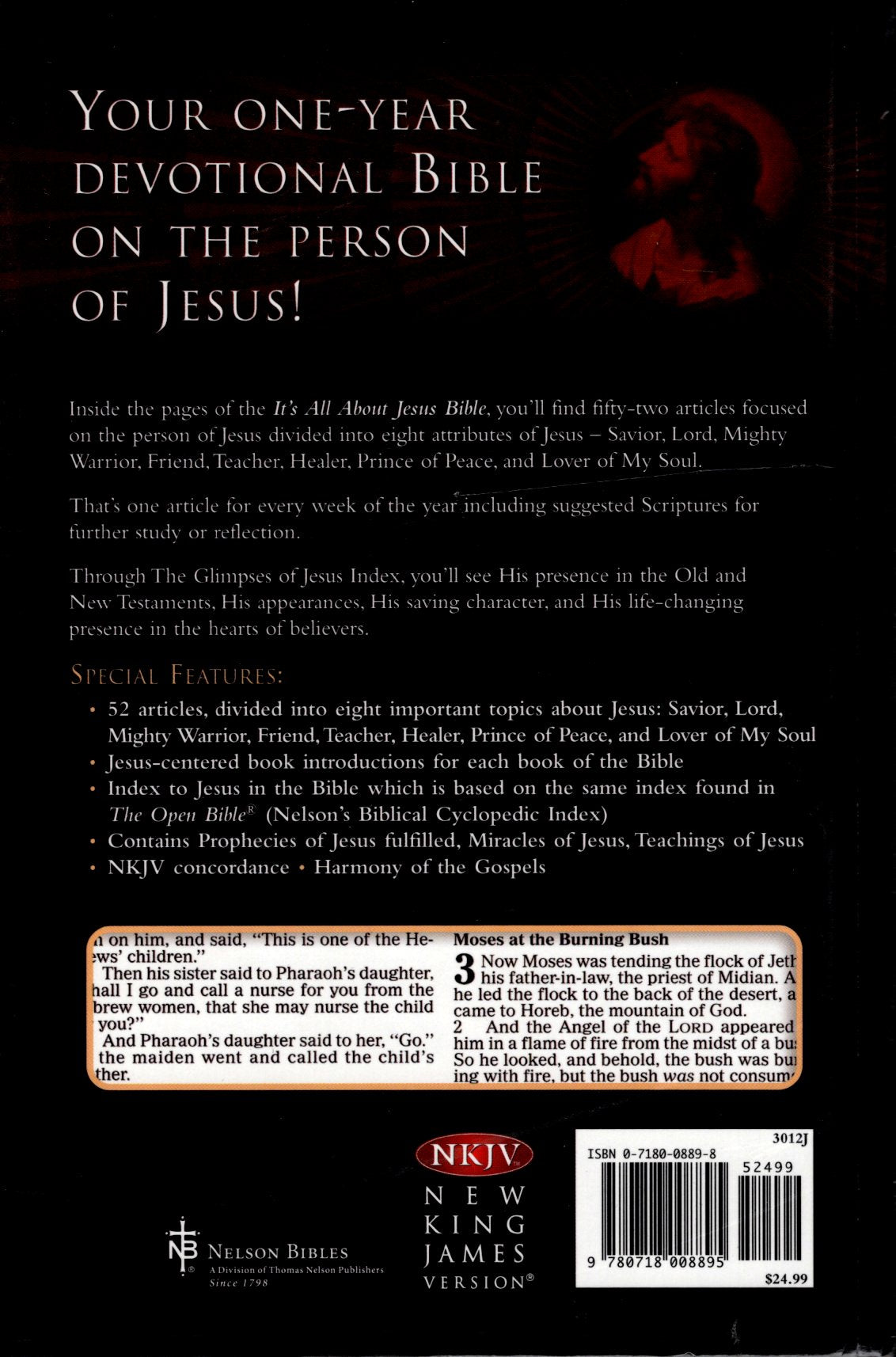 Thomas Nelson NKJV® - It's All About Jesus Bible: Your One-Year Journey with Jesus - Softcover