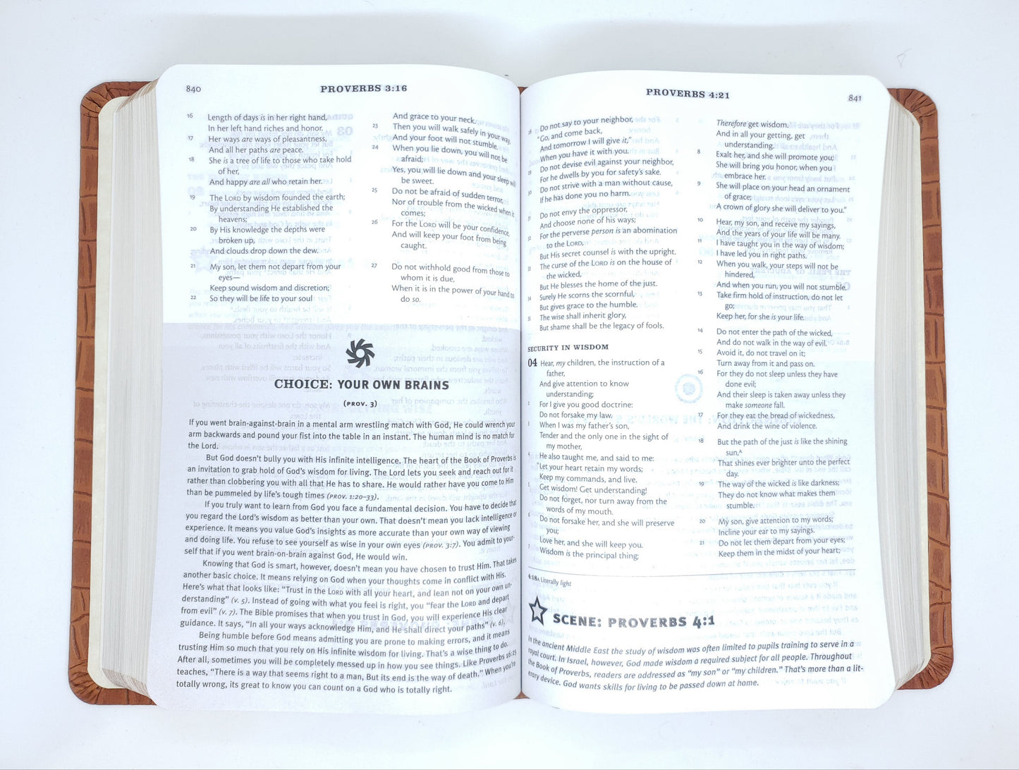 Thomas Nelson The NKJV Student Bible, Brown Alligator LeatherSoft™