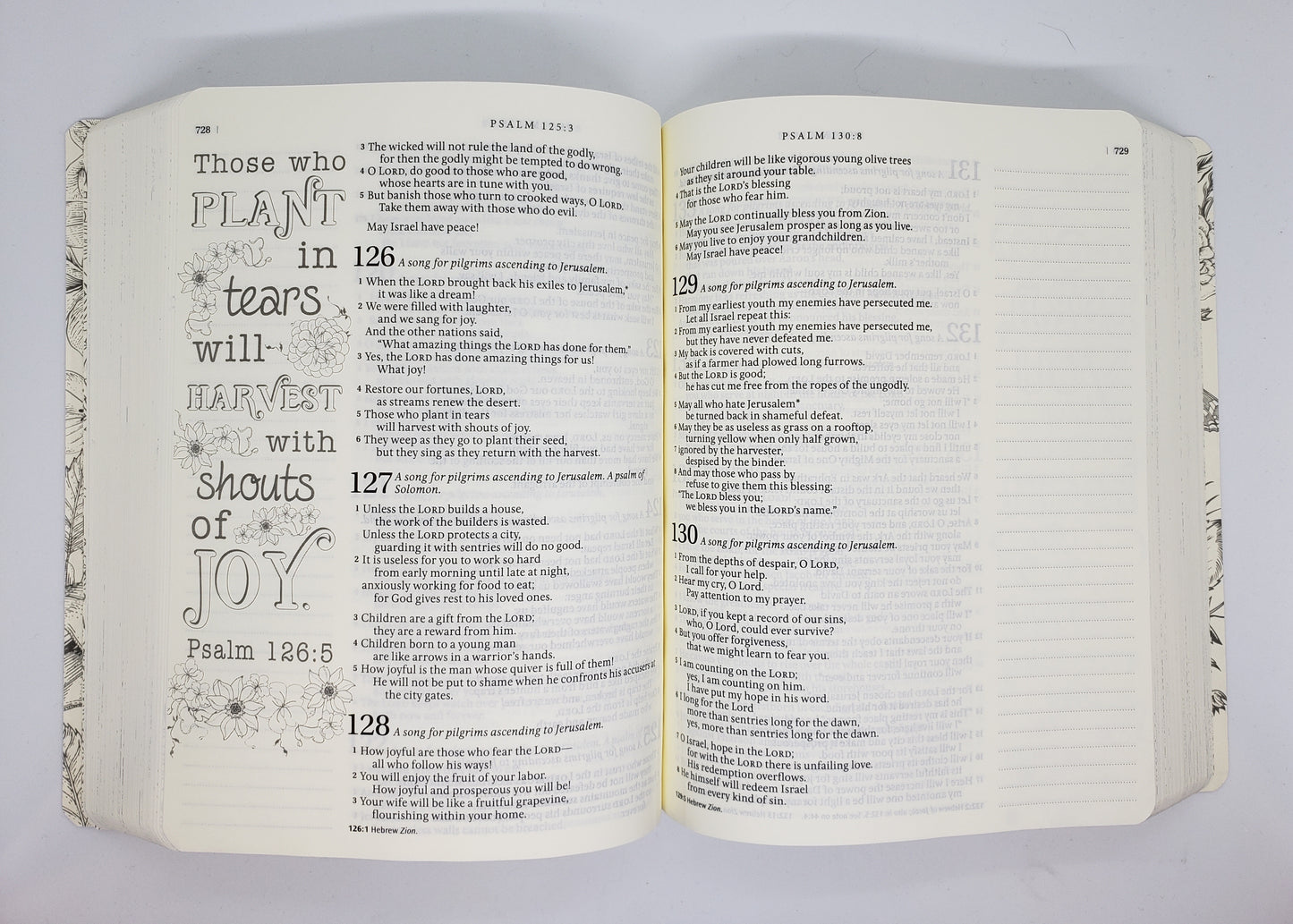 NLT Inspire Bible (Softcover, Pink): The Bible for Coloring & Creative Journaling