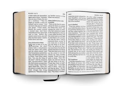 Crossway ESV Super Giant Print Bible - TruTone®