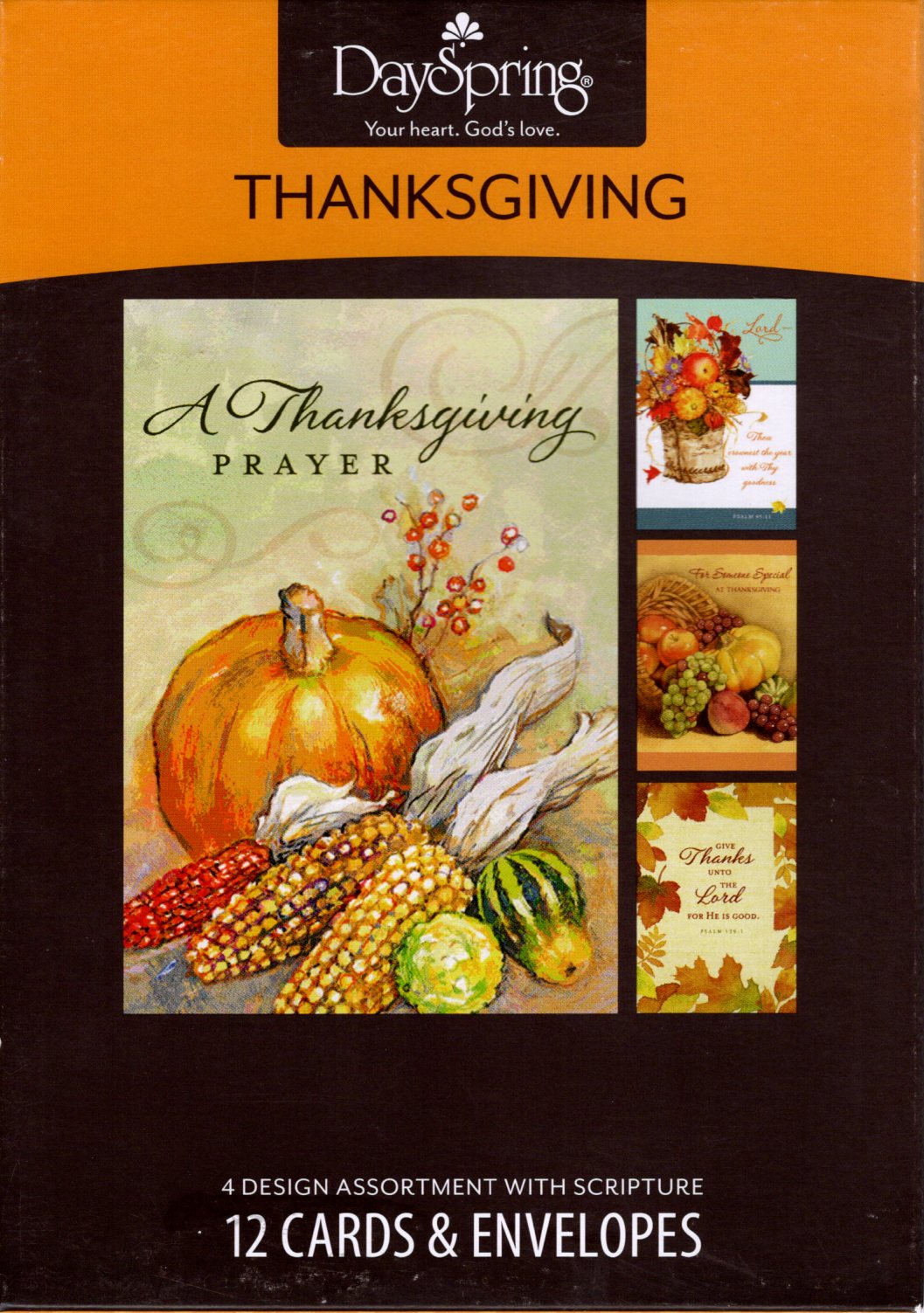 DaySpring® - Thanksgiving Boxed Cards with Scripture Stationery - 12 C ...