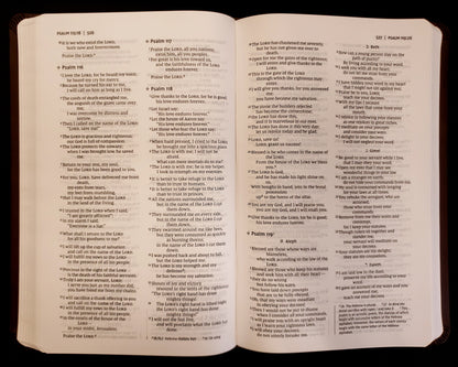 Zondervan NIV® Value Thinline Bible - Leathersoft™