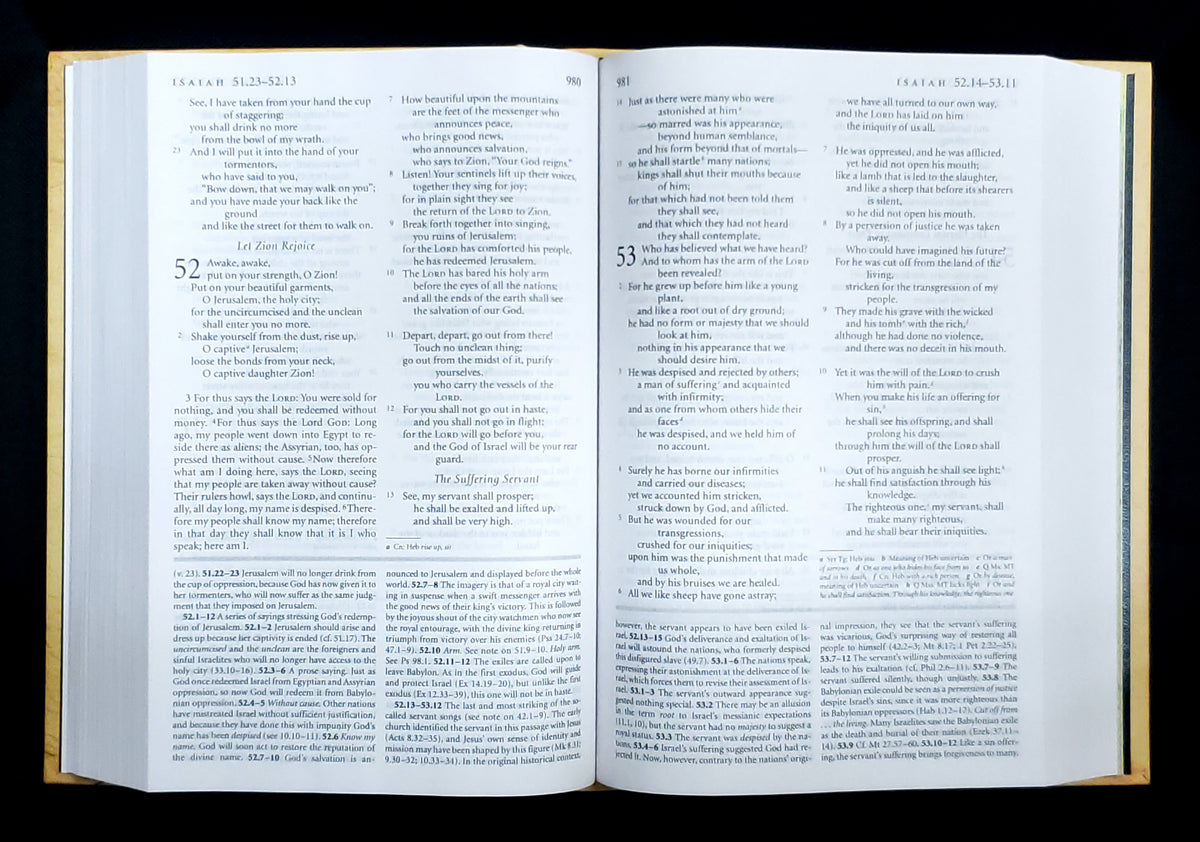 HarperCollins NRSV Study Bible (with Apocrypha) - Student Edition