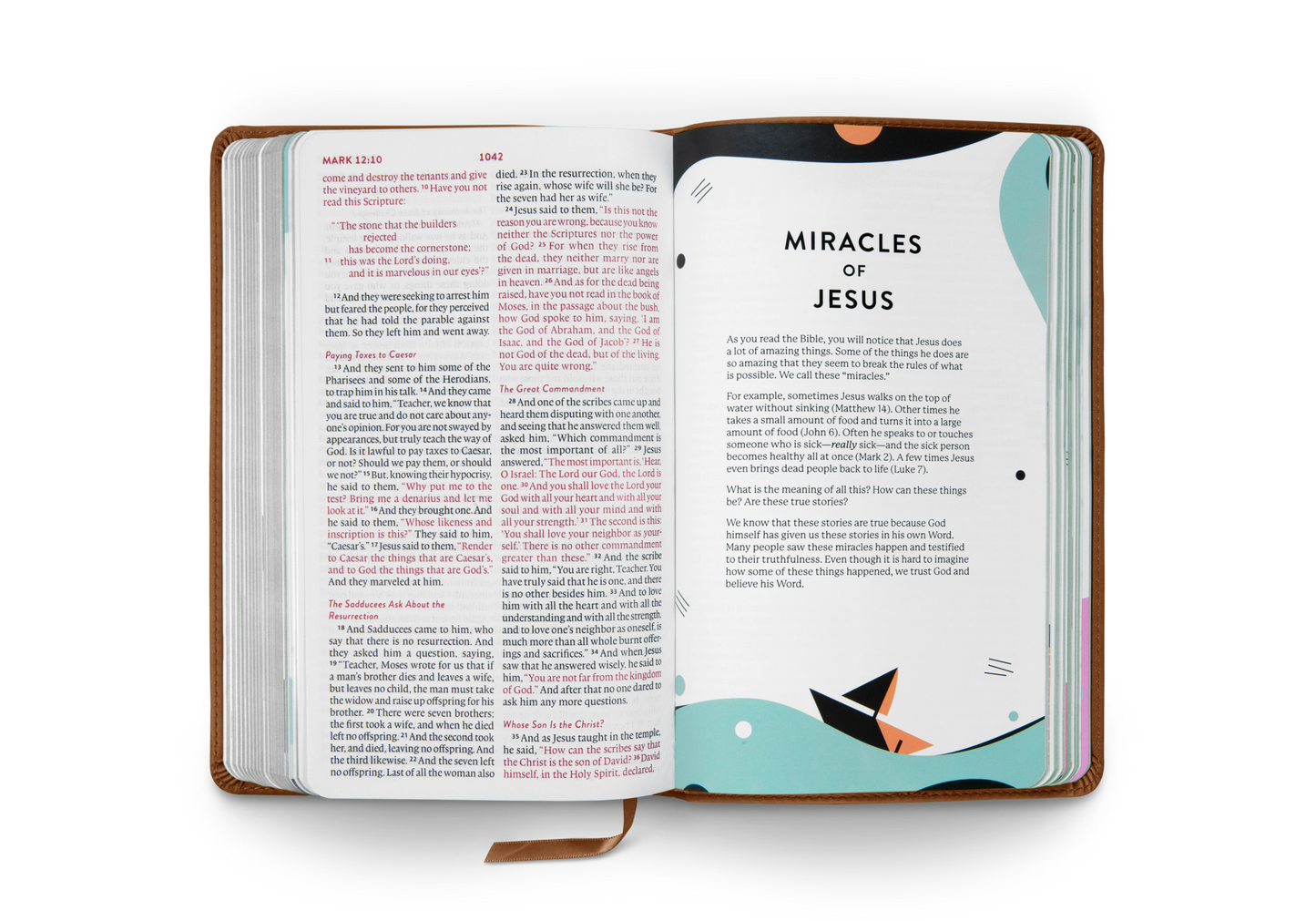 Crossway ESV Kid's Bible, Thinline (TruTone, The True Vine—Brown)