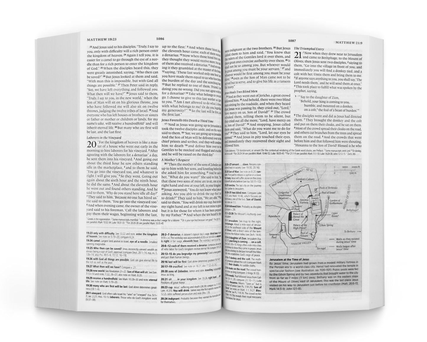Crossway ESV Concise Study Bible, Economy Edition (Paperback)