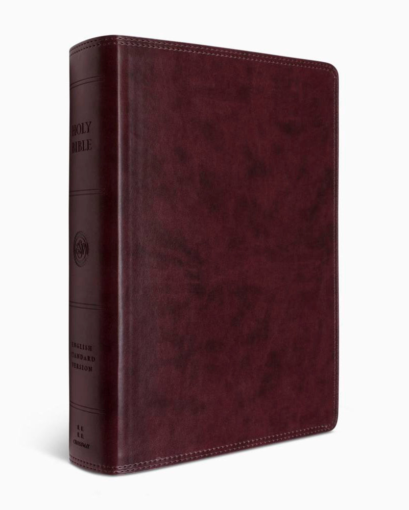 Crossway ESV Super Giant Print Bible - TruTone®