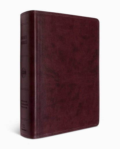 Crossway ESV Super Giant Print Bible - TruTone®