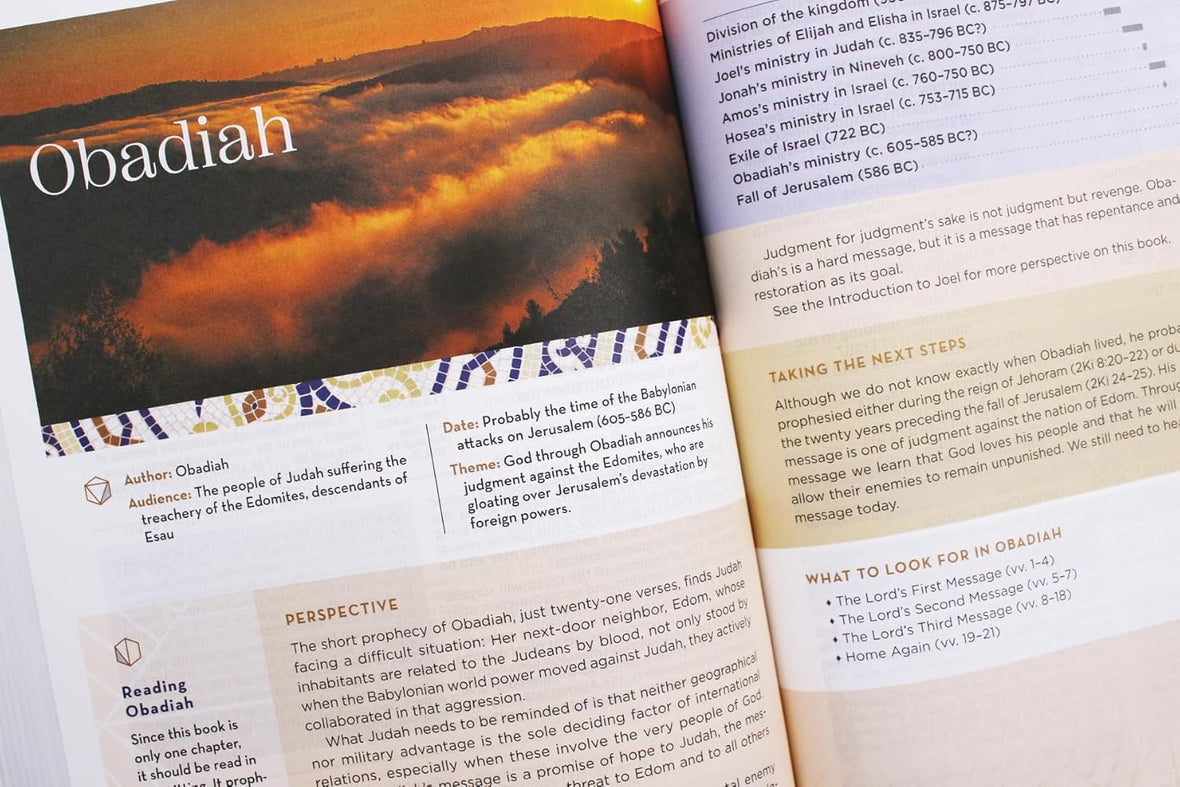 Zondervan NIV Application Bible: Bringing the Ancient Message of the Bible into Your World
