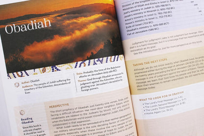 Zondervan NIV Application Bible: Bringing the Ancient Message of the Bible into Your World