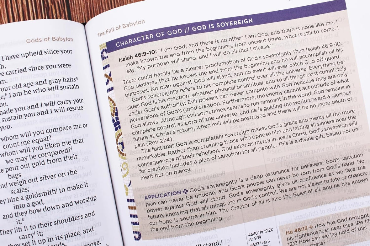 Zondervan NIV Application Bible: Bringing the Ancient Message of the Bible into Your World