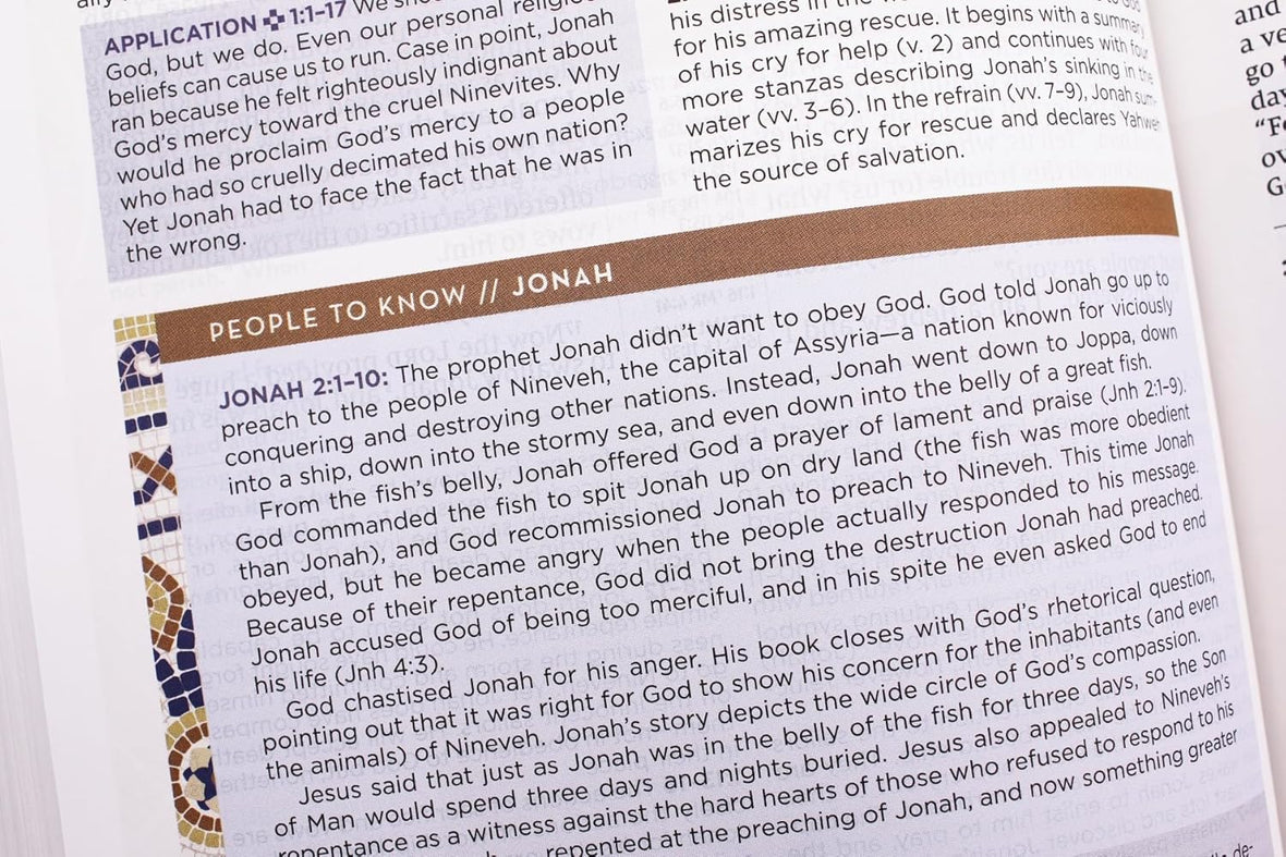 Zondervan NIV Application Bible: Bringing the Ancient Message of the Bible into Your World