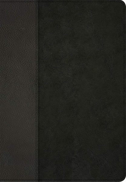 Tyndale NLT Life Recovery Bible, Second Edition, Personal Size (LeatherLike, Black/Onyx)