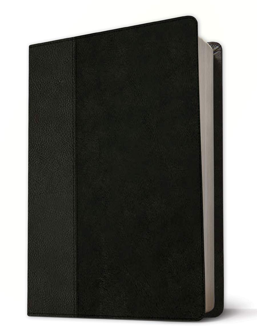 Tyndale NLT Life Recovery Bible, Second Edition, Personal Size (LeatherLike, Black/Onyx)