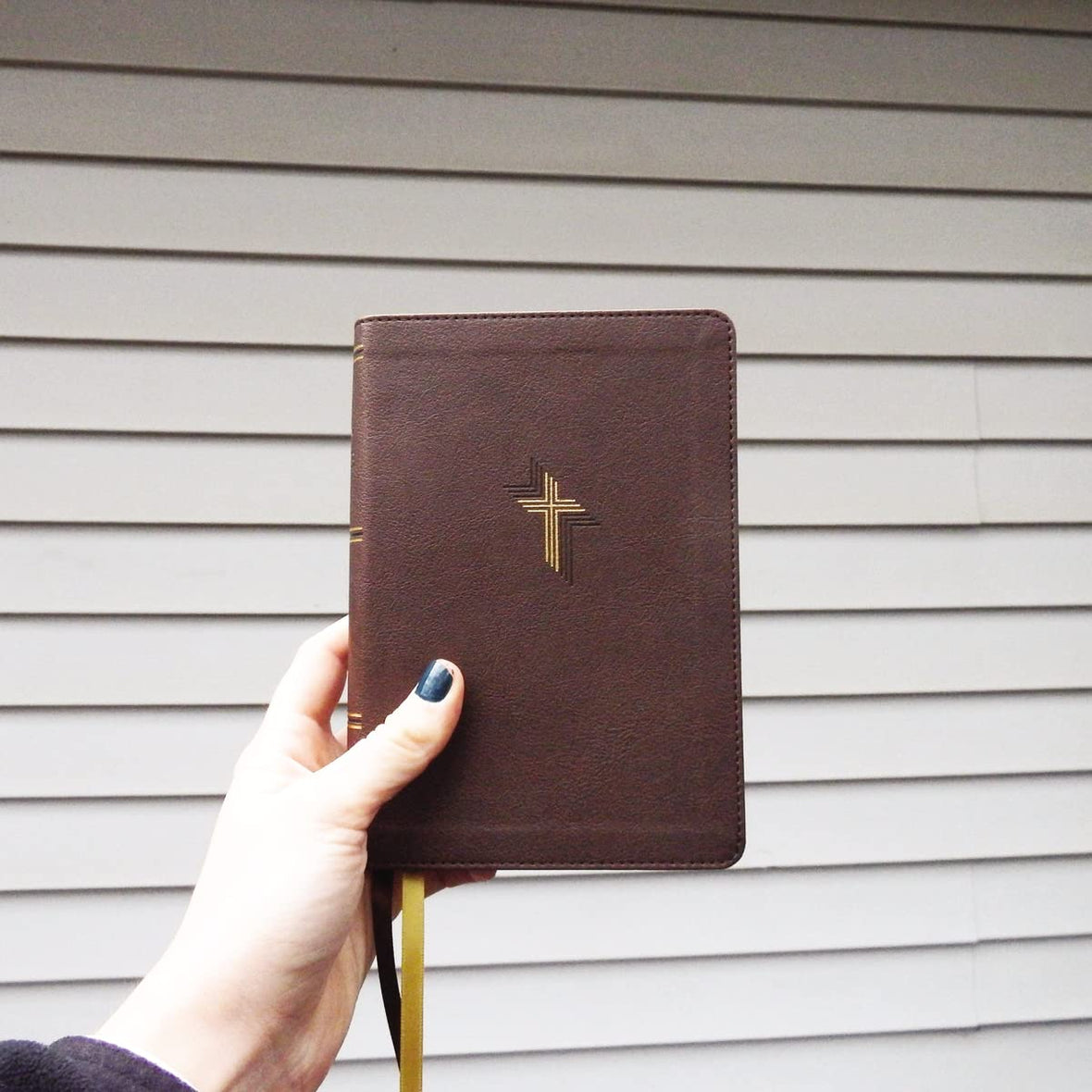 Zondervan NIV Larger Print Compact Bible, Leathersoft, Brown