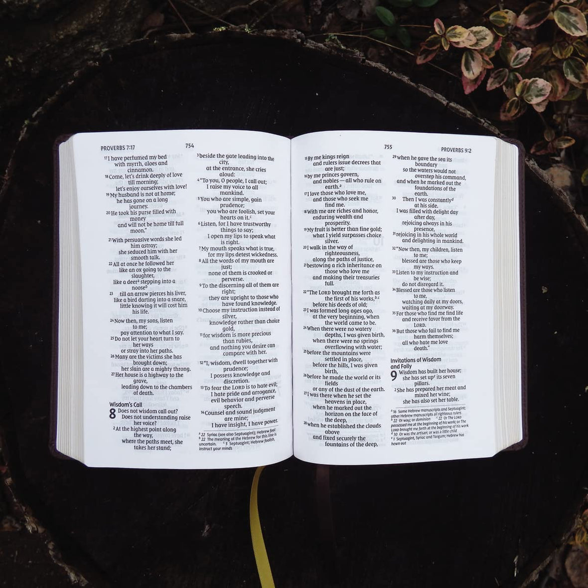 Zondervan NIV Larger Print Compact Bible, Leathersoft, Brown