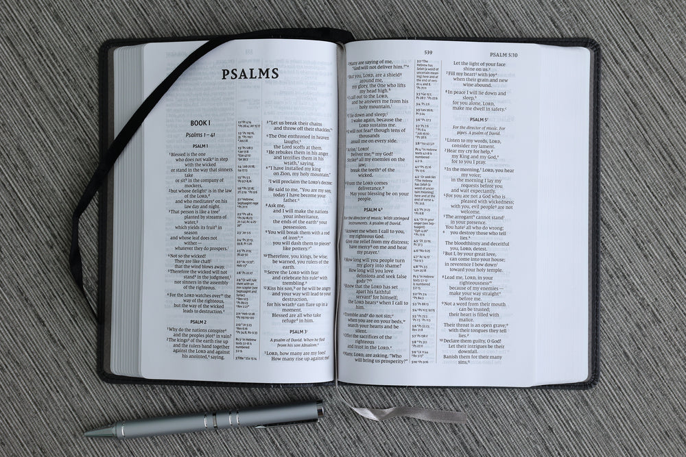 Zondervan NIV, Compact Center-Column Reference Bible, Black Leathersoft