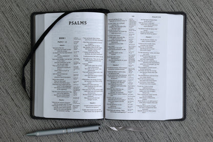 Zondervan NIV, Compact Center-Column Reference Bible, Black Leathersoft