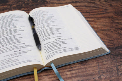 Zondervan NIV, Journal the Word Bible, Large Print, Teal Leathersoft