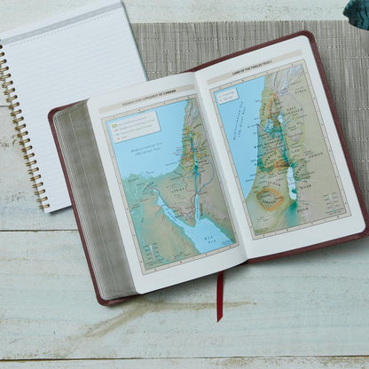 Thomas Nelson KJV: Deluxe Gift Bible, Auburn Leathersoft