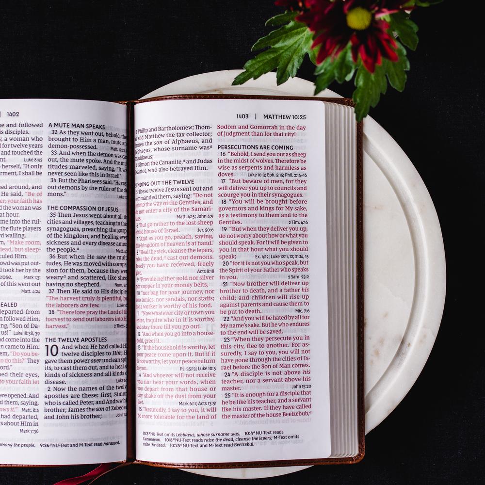 Thomas Nelson NKJV, Personal Size Large Print Reference Bible, Brown Leathersoft