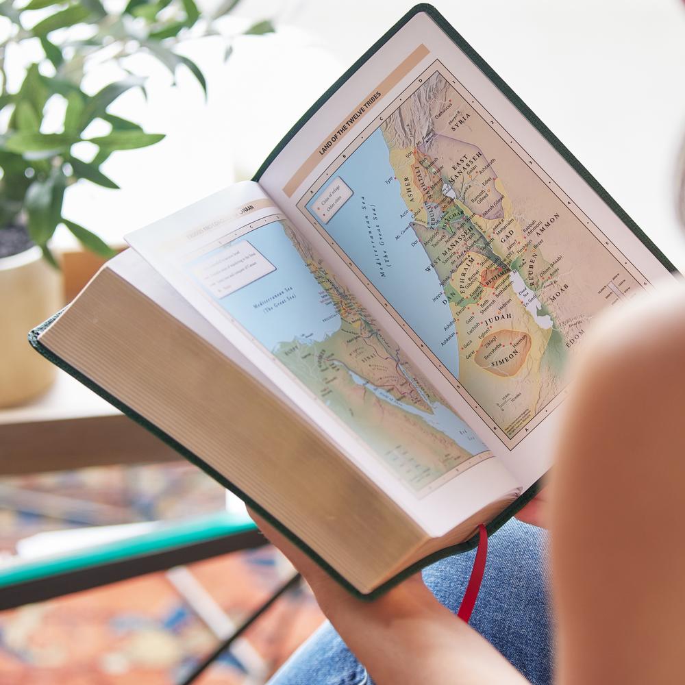 Thomas Nelson NKJV, Personal Size Large Print Reference Bible, Brown Leathersoft