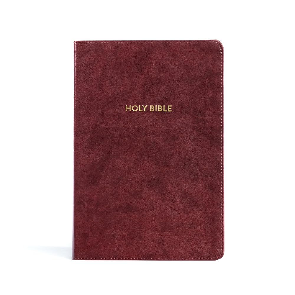 KJV Rainbow Study Bible, Burgundy LeatherTouch, Black Letter, Pure Cambridge Text, Color Coded, Bible Study Helps, Reading Plans, Full-Color Maps, Easy to Read Bible MCM Type cover image