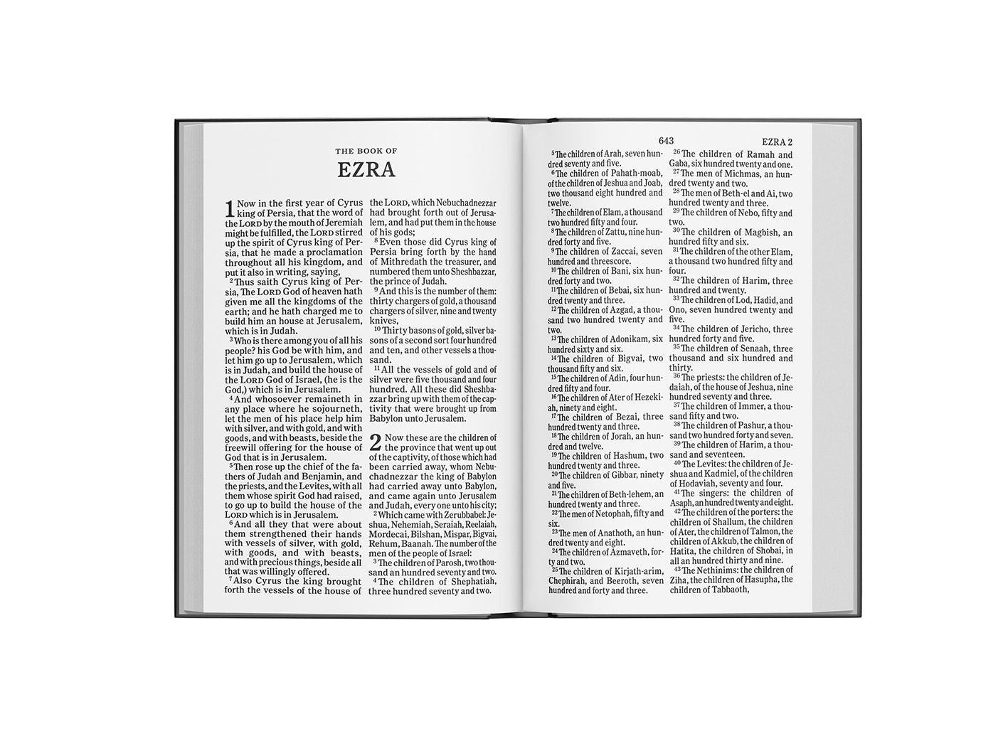 Scandinavia KJV Holy Bible, Large Print, Imitation Leather