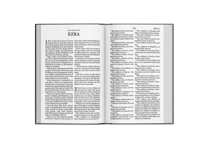 Scandinavia KJV Holy Bible, Large Print, Imitation Leather