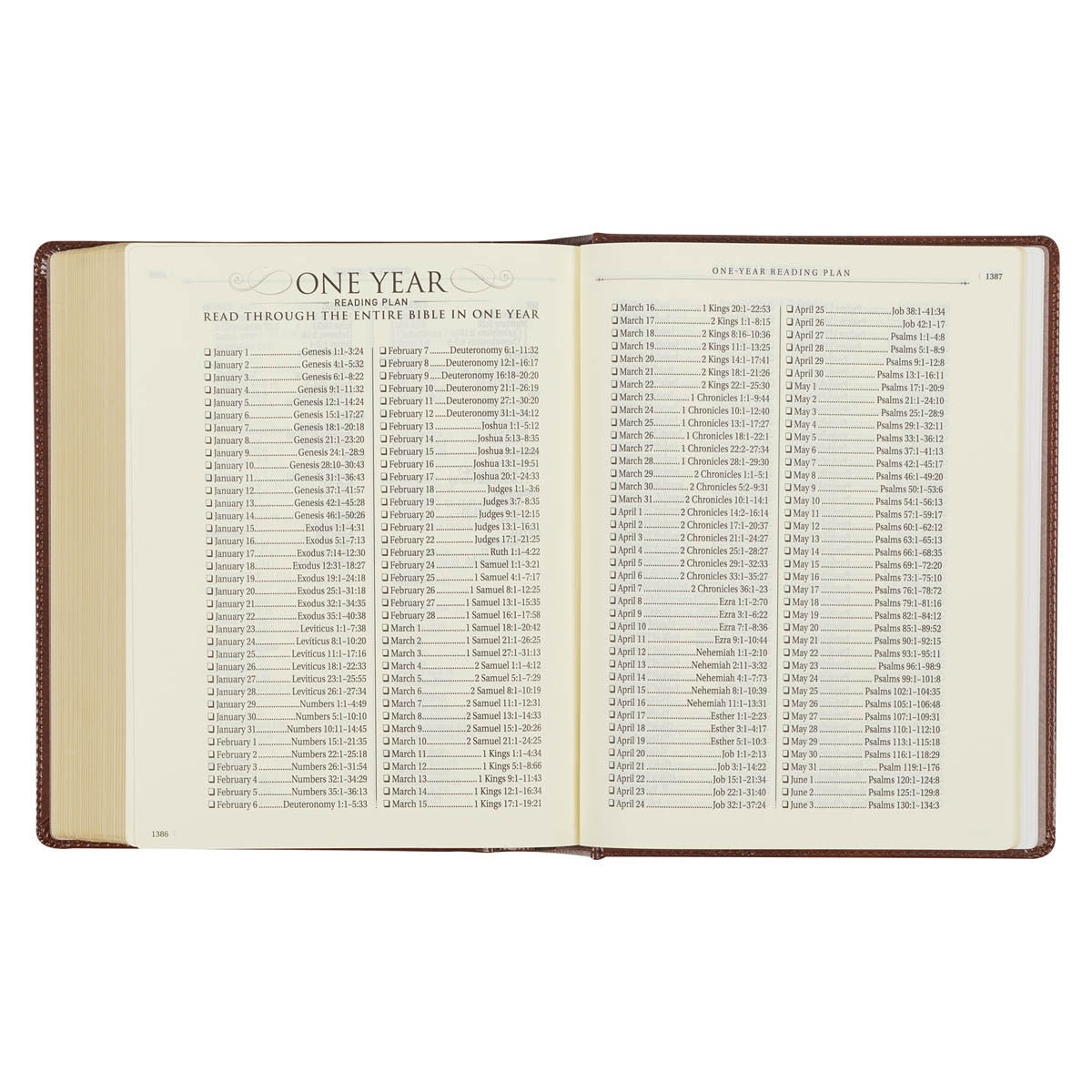 Christian Art Publishers KJV, The Note-taking Bible, Faux Leather Hardcover, Saddle Tan