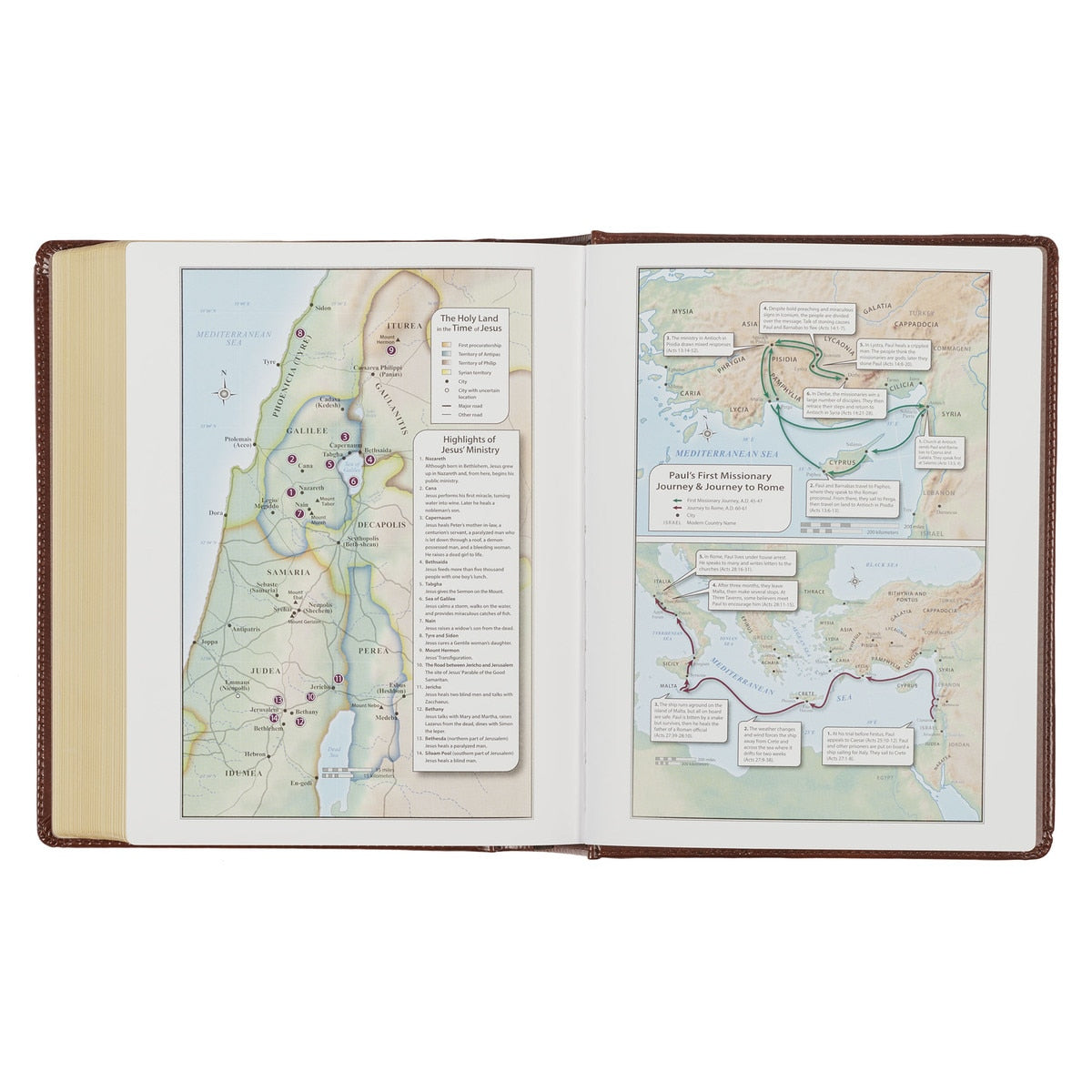 Christian Art Publishers KJV, The Note-taking Bible, Faux Leather Hardcover, Saddle Tan