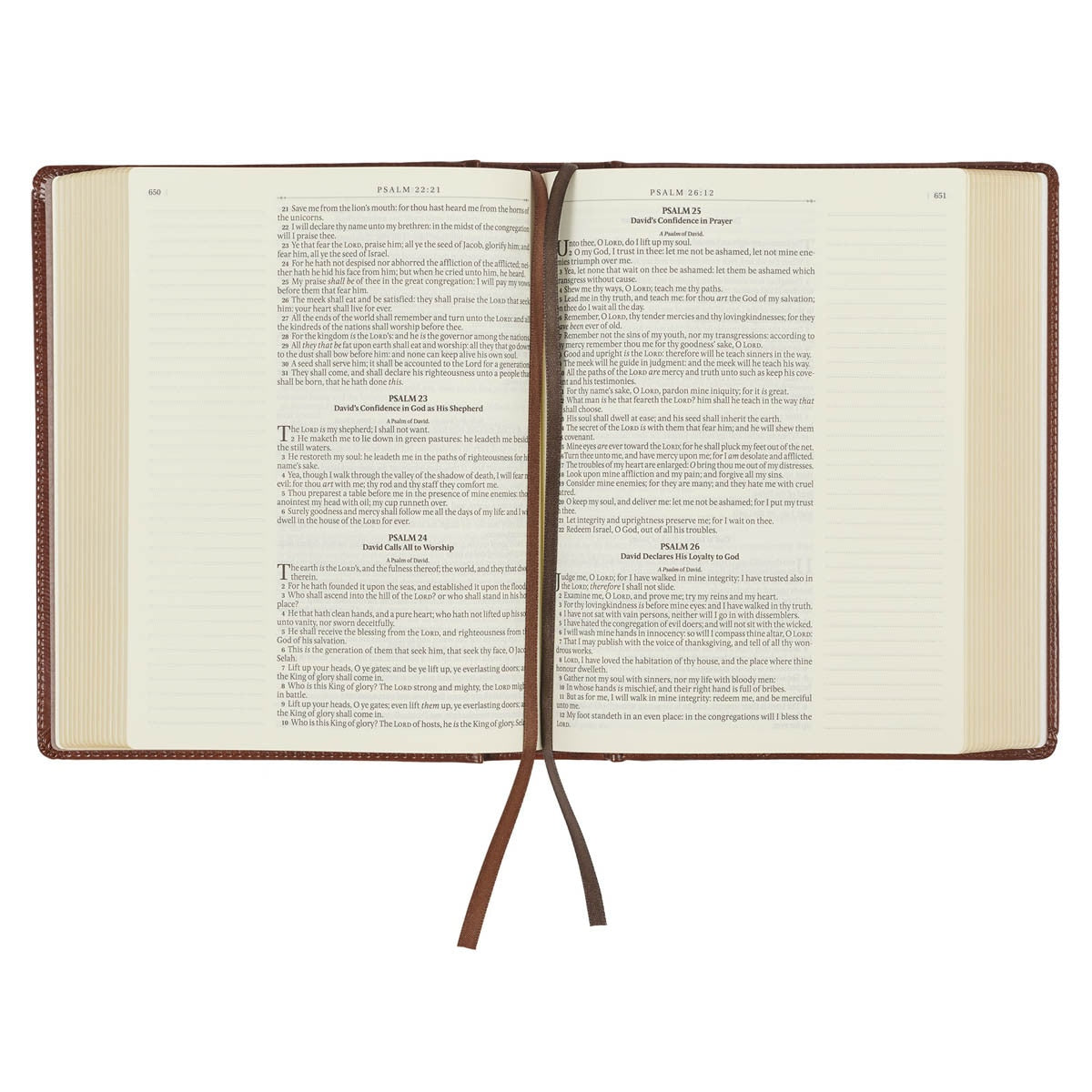 Christian Art Publishers KJV, The Note-taking Bible, Faux Leather Hardcover, Saddle Tan