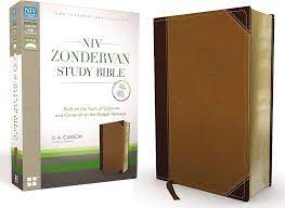 Zondervan NIV® Zondervan Study Bible - Italian Duo-Tone™ (Chocolate/Caramel)