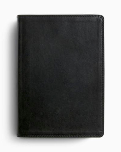 Crossway ESV Super Giant Print Bible - TruTone®