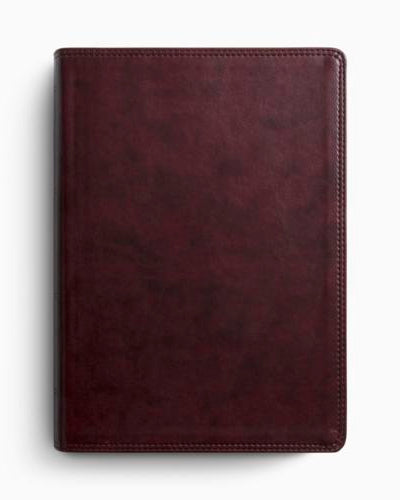 Crossway ESV Super Giant Print Bible - TruTone®