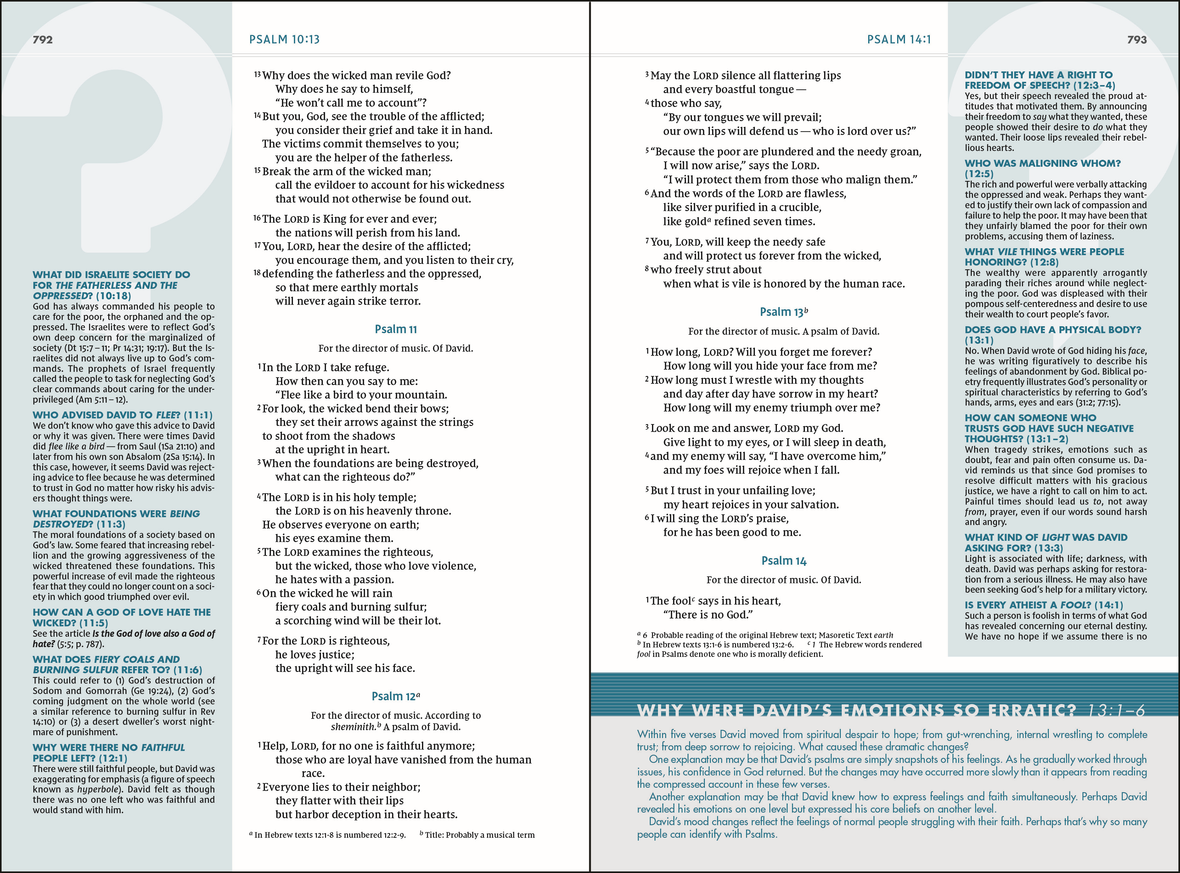 Zondervan NIV, Quest Study Bible: The Only Q and A Study Bible, Leathersoft, Thumb Indexed