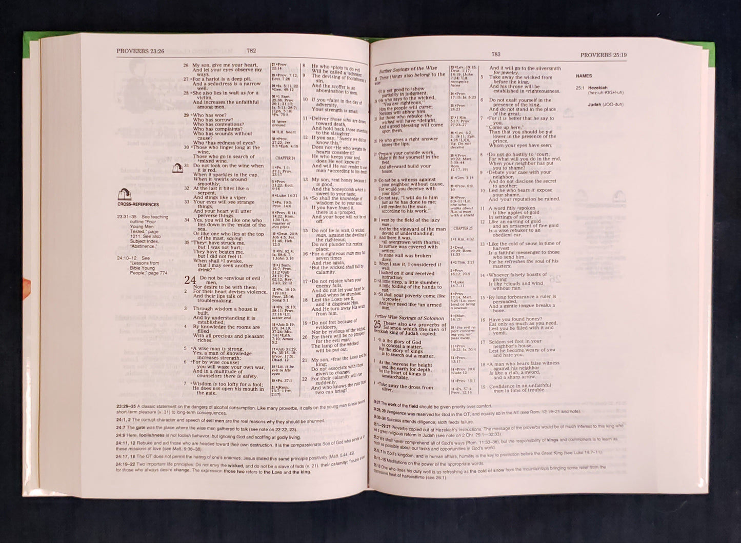 Thomas Nelson NKJV® Children's Ministry Resource Bible - Hardcover