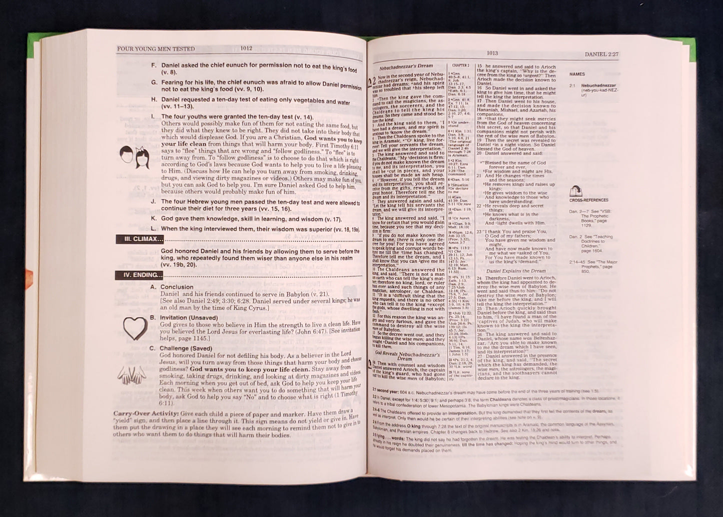 Thomas Nelson NKJV® Children's Ministry Resource Bible - Hardcover