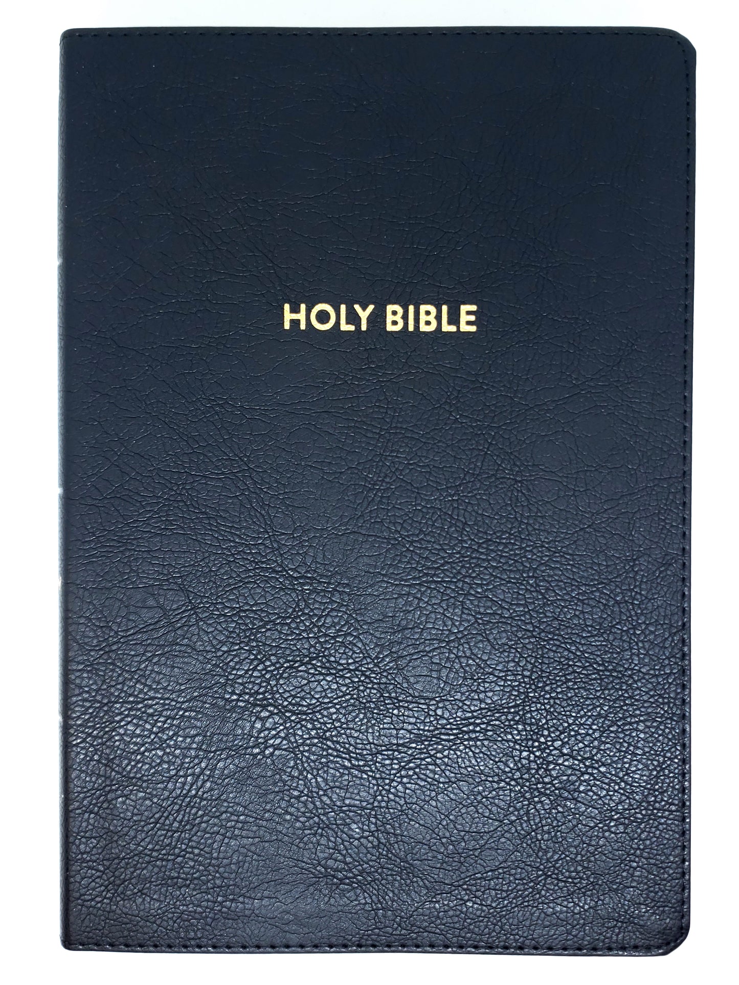 Holman KJV Rainbow Study Bible, LeatherTouch