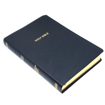 Holman KJV Rainbow Study Bible, LeatherTouch