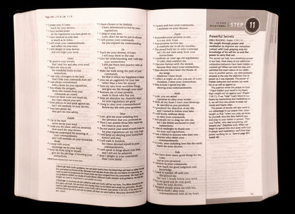 Tyndale NLT Life Recovery Bible, Second Edition, Personal Size (LeatherLike, Black/Onyx)