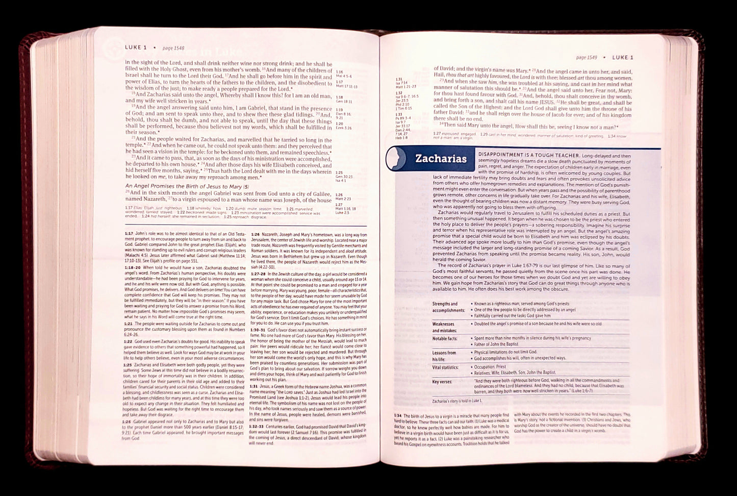 Tyndale KJV Life Application® Study Bible Third Edition - Brown and Mahogany Leatherlike