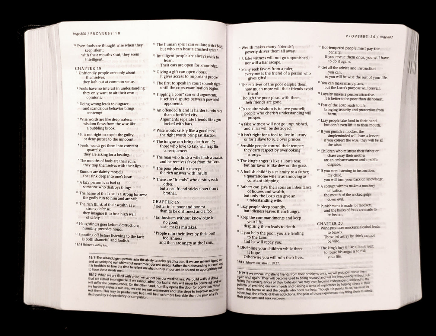 Tyndale NLT Life Recovery Bible, Second Edition, Personal Size (LeatherLike, Black/Onyx)
